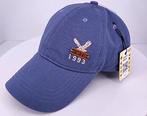 運(yùn)動(dòng)帽